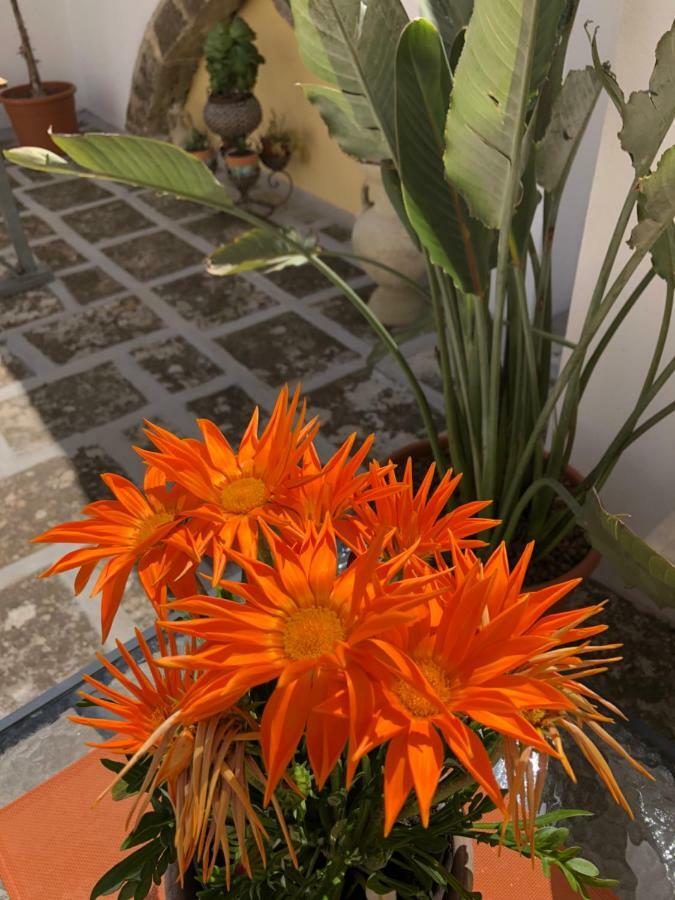 Corte La Rosa 나르도 외부 사진